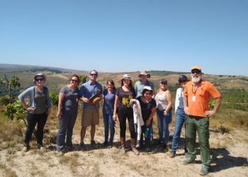 MTur parabeniza guias de turismo por Dia Internacional