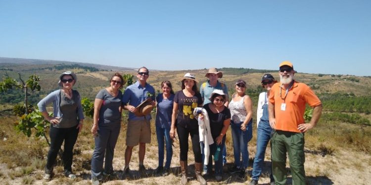 MTur parabeniza guias de turismo por Dia Internacional