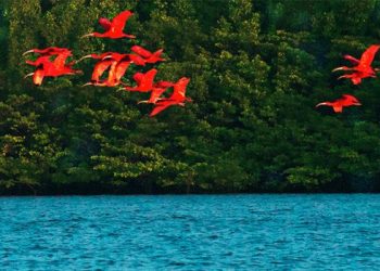 Turismo Social do Sesc organiza excursão para o Delta das Américas em maio