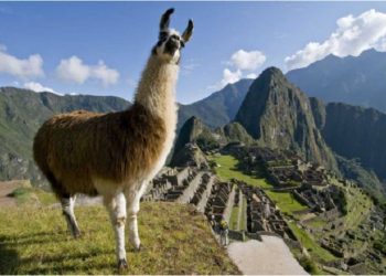 Peru reabre Machu Picchu para um único visitante