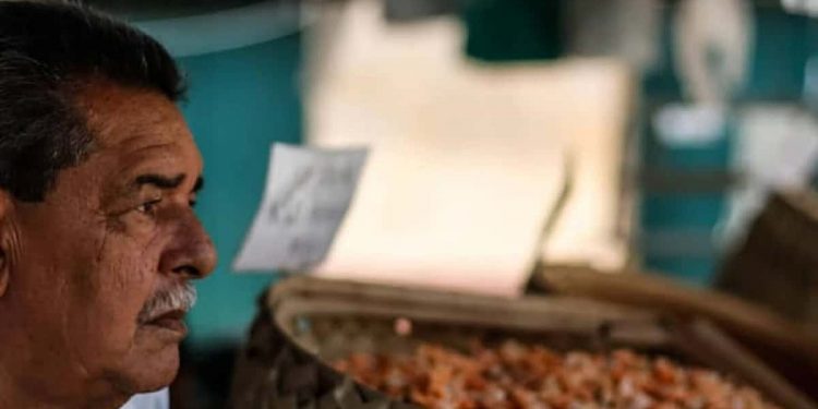 Festival das Tulhas 2020: virtual e com apoio do governo