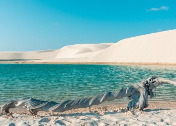 Cartilha lista oportunidades para o fortalecimento do Turismo