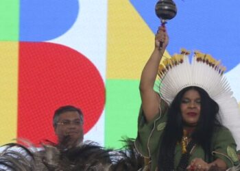 Deputada por São Paulo, maranhense Sônia Guajajara assume Ministério dos Povos Indígenas