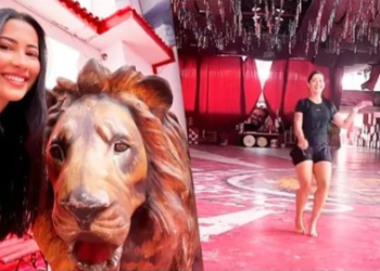 “SÃO JOÃO DO MARANHÃO” NO DESFILE DA ESTÁCIO DE SÁ NO RIO DE JANEIRO CAUSA GRANDE EXPECTATIVA