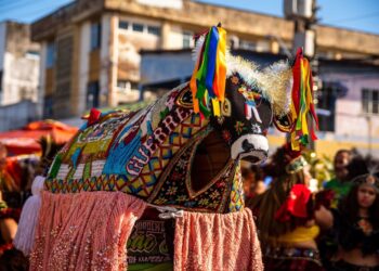 São João no Maranhão: veja mais sobre a festa junina do Bumba meu boi