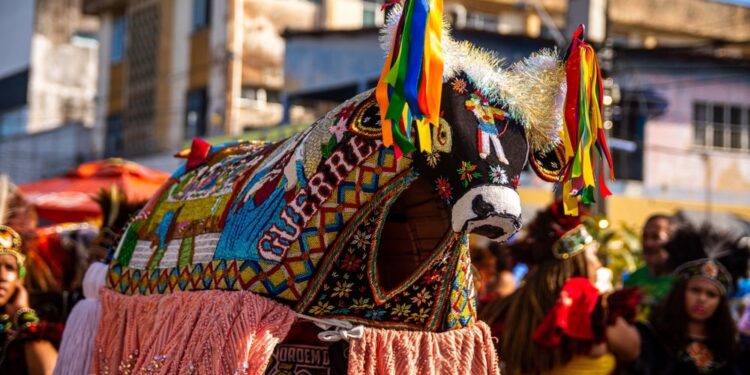 São João no Maranhão: veja mais sobre a festa junina do Bumba meu boi