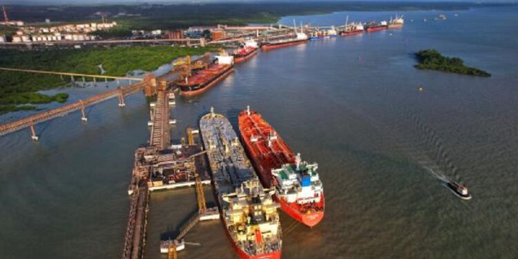 Porto do Itaqui bate recorde histórico em movimentação de soja