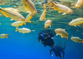 Turismo de experiência cresce no Brasil e abre novos mercados para os pequenos negócios