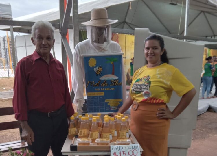 ExpoMEI 2025 e Caravana Sebrae Delas começam hoje (15) em São Luís