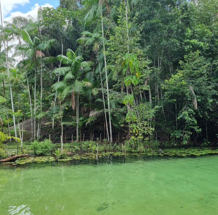 Turismo de base comunitária movimenta o território do Munim com ação do Sebrae