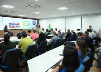 FIEMA aproxima Vale de fornecedores maranhenses