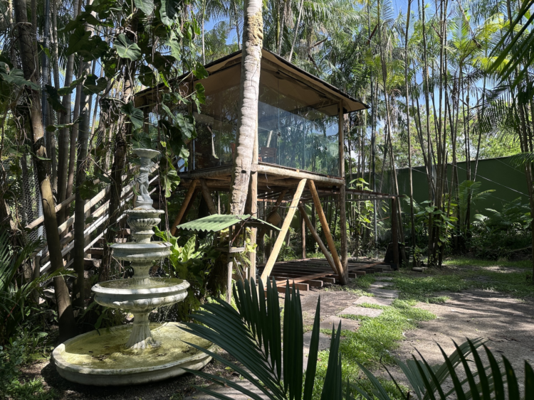 Projeto ambiental urbano ganha forma e viabilidade com orientação do Sebrae