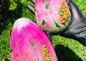 Da prateleira à experiência: como empreendedores estão ressignificando a Páscoa no Maranhão