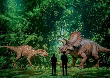 São Luís recebe experiência inédita e imersiva: “A Era dos Dinossauros” no Shopping da Ilha