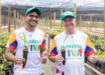 Maranhão se destaca como estado do Nordeste que mais avançou em ações de sustentabilidade ambiental