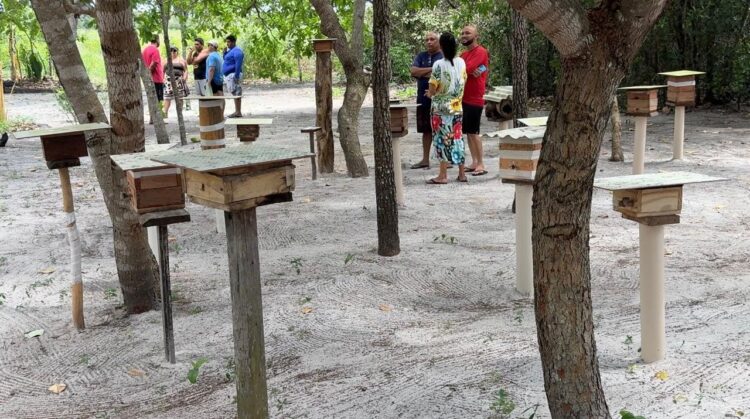 Circuito Raízes, Rios e Tradições revela a alma de Tutóia (MA)