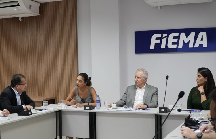 FIEMA discute inovação com o Ministério da Ciência, Tecnologia e Inovação