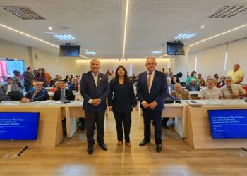 A quem pertence a Ilha de Upaon-Açu?