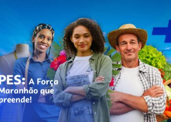 Dia da Micro e Pequena Empresa: a força das ‘gigantes’ que respondem por 67% dos empregos no Maranhão