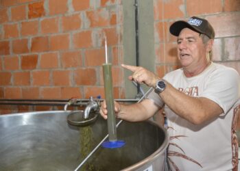 Rota apresenta produção de cachaça artesanal no Maranhão
