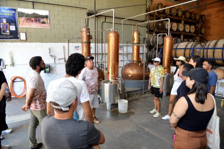 Rota apresenta produção de cachaça artesanal no Maranhão